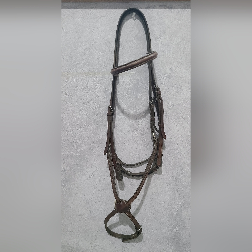 Raised Headstall w/ Figure Eight Caverson Brn